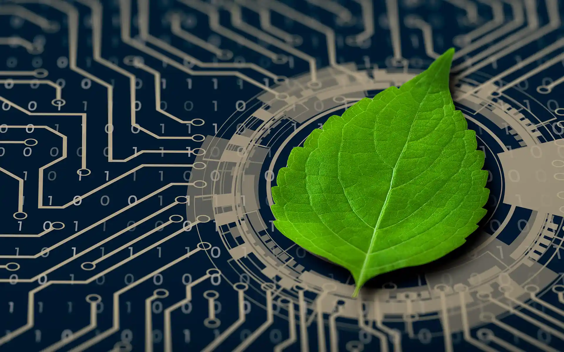 Implementierung von Codebeamer zur Rationalisierung des Software-Lebenszyklusmanagements