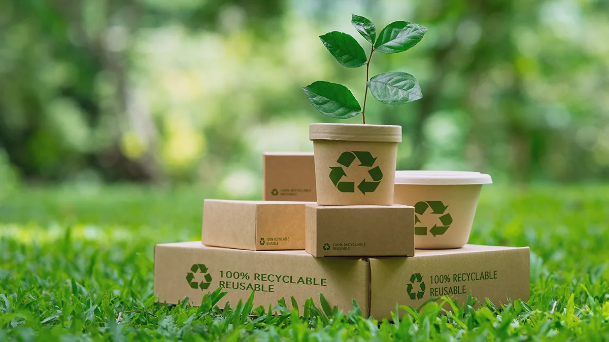 Czym jest dyrektywa PPWR i jak wpłynie na polskich producentów