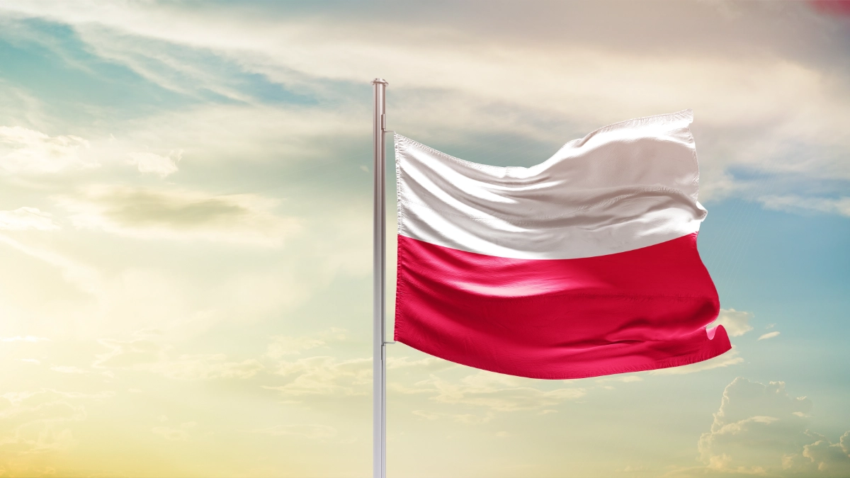 Local content w przemyśle: dlaczego krajowe kompetencje cyfrowe będą równie ważne jak łańcuchy dostaw?