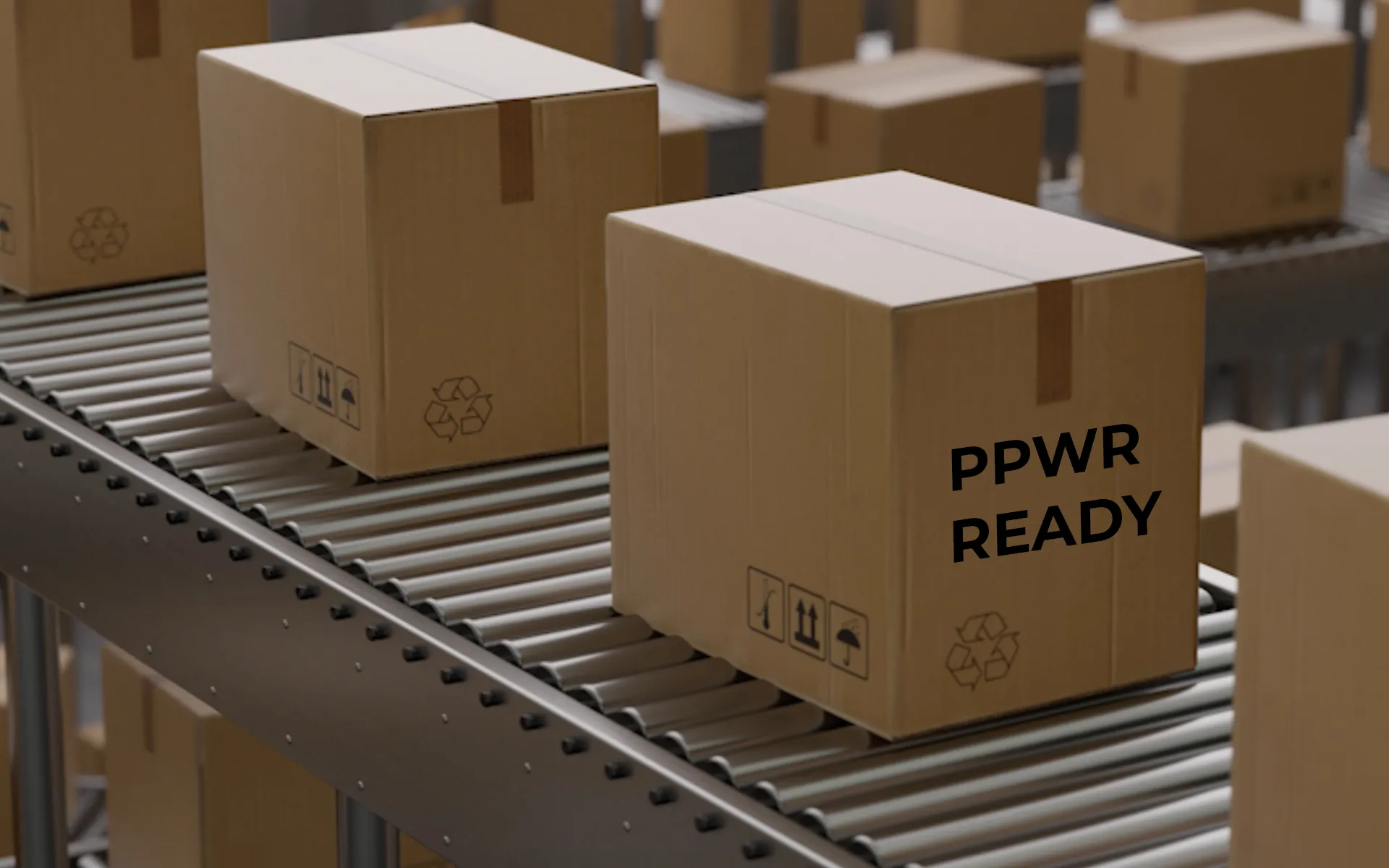 PPWR to nie tylko nowe wymagania dla opakowań. To test zarządzania danymi produktowymi.